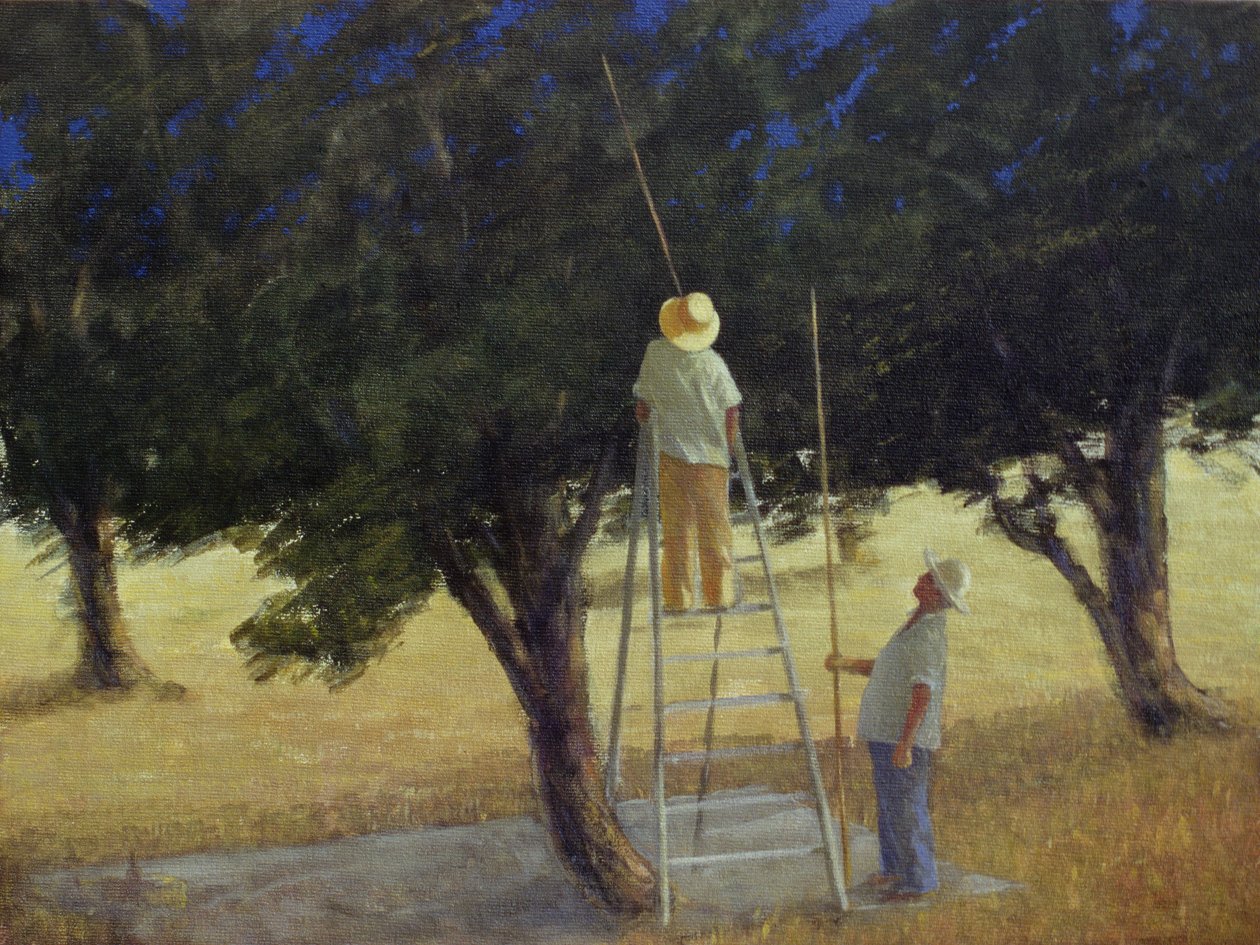 Olive Pickers, 1985 (akryl på lerret) av Lincoln Seligman