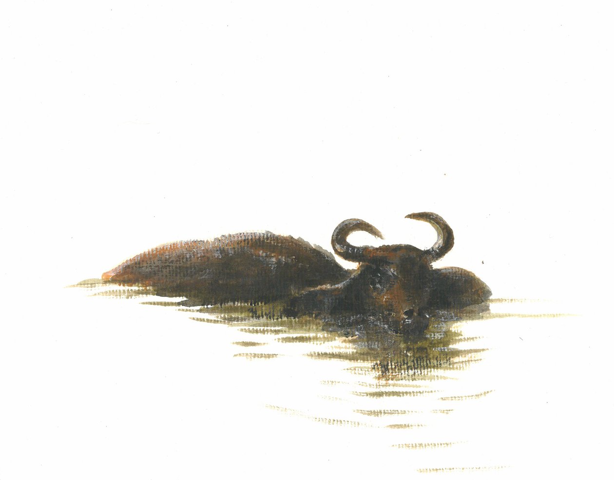 Water Buffalo 2, 2015 av Lincoln Seligman