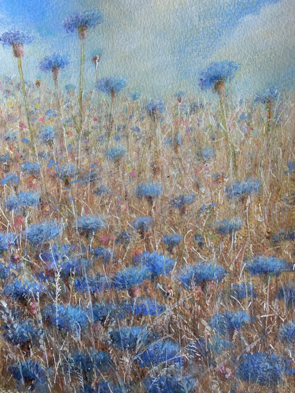 Kornblomster 3 av Lincoln Seligman