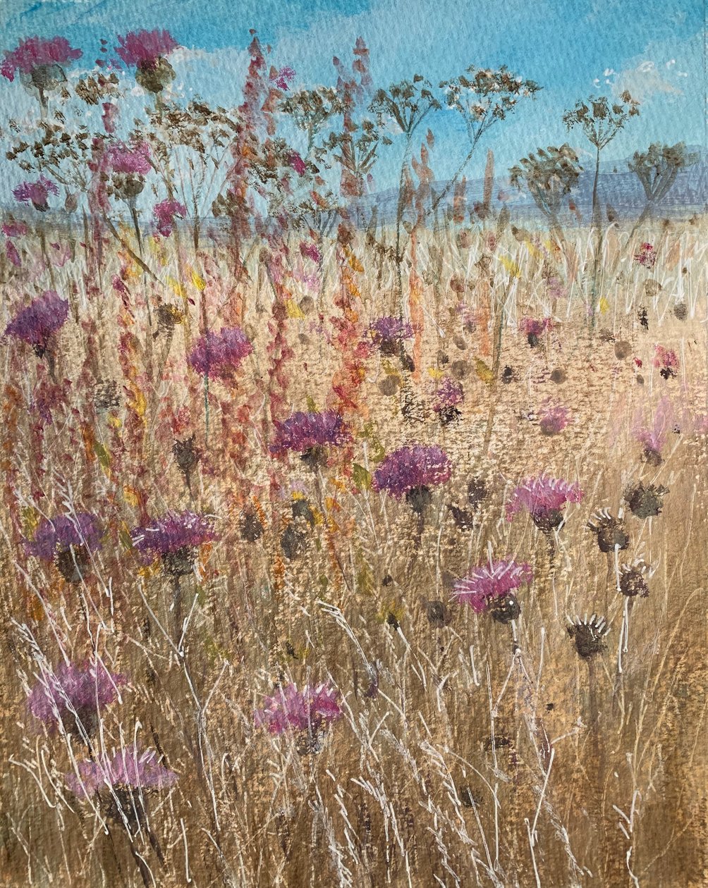 Dark Scabious av Lincoln Seligman