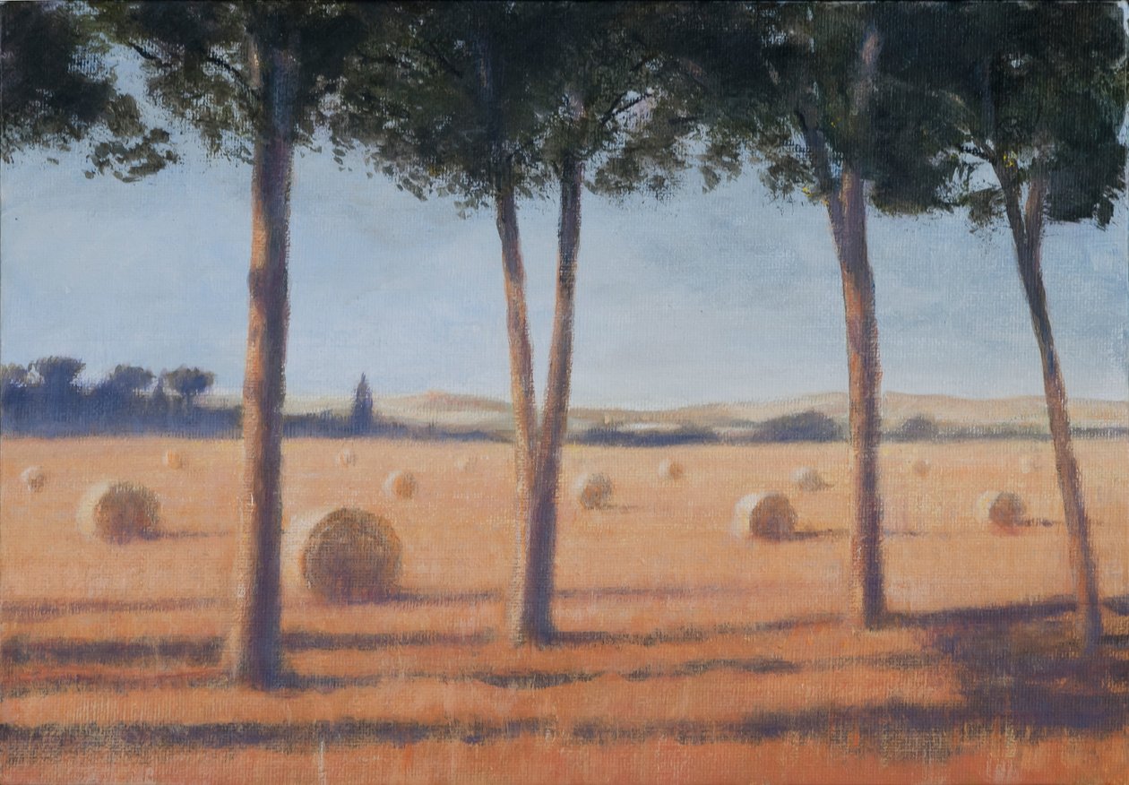 Hay Bales and Pines, Pienza, 2012 (akryl på lerret) av Lincoln Seligman