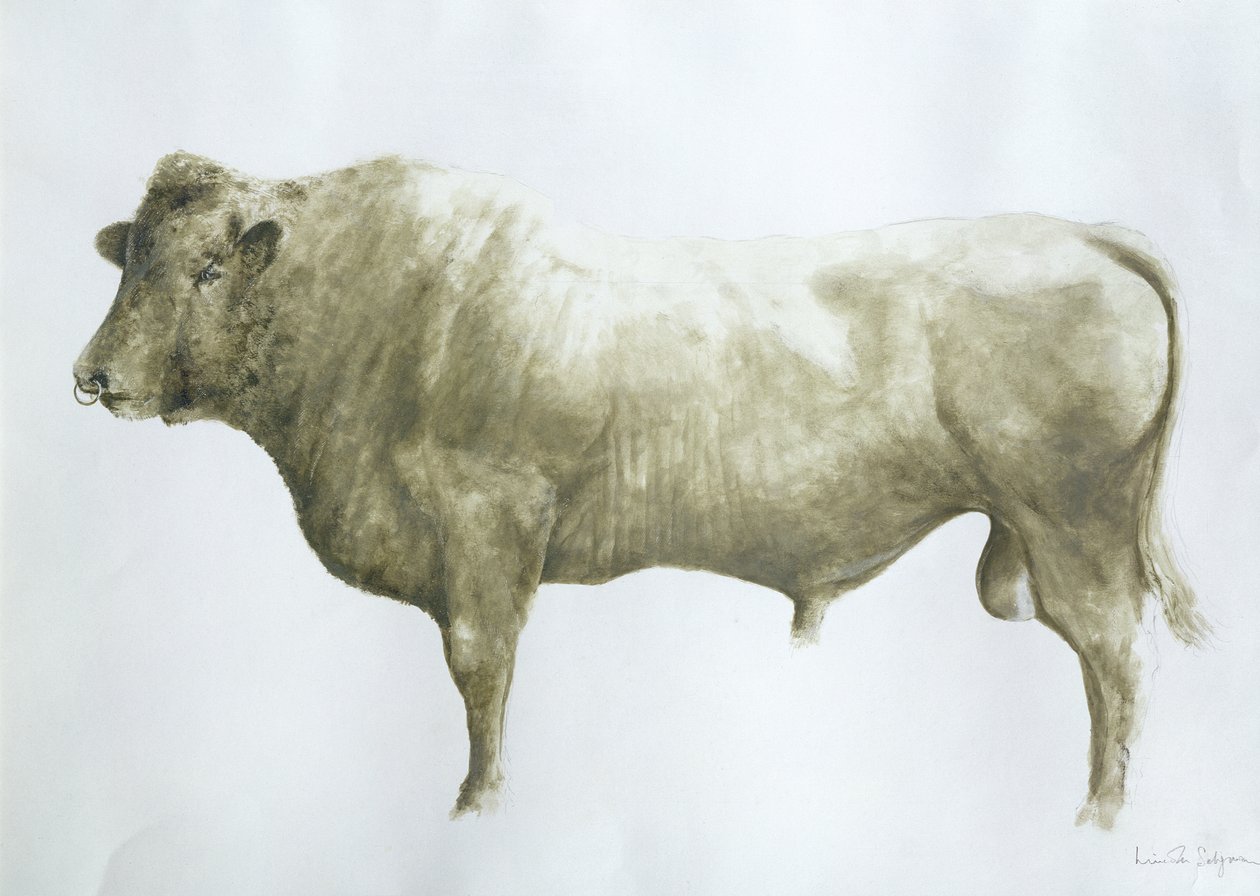 Islay Bull, 2004 (akryl på lerret) av Lincoln Seligman