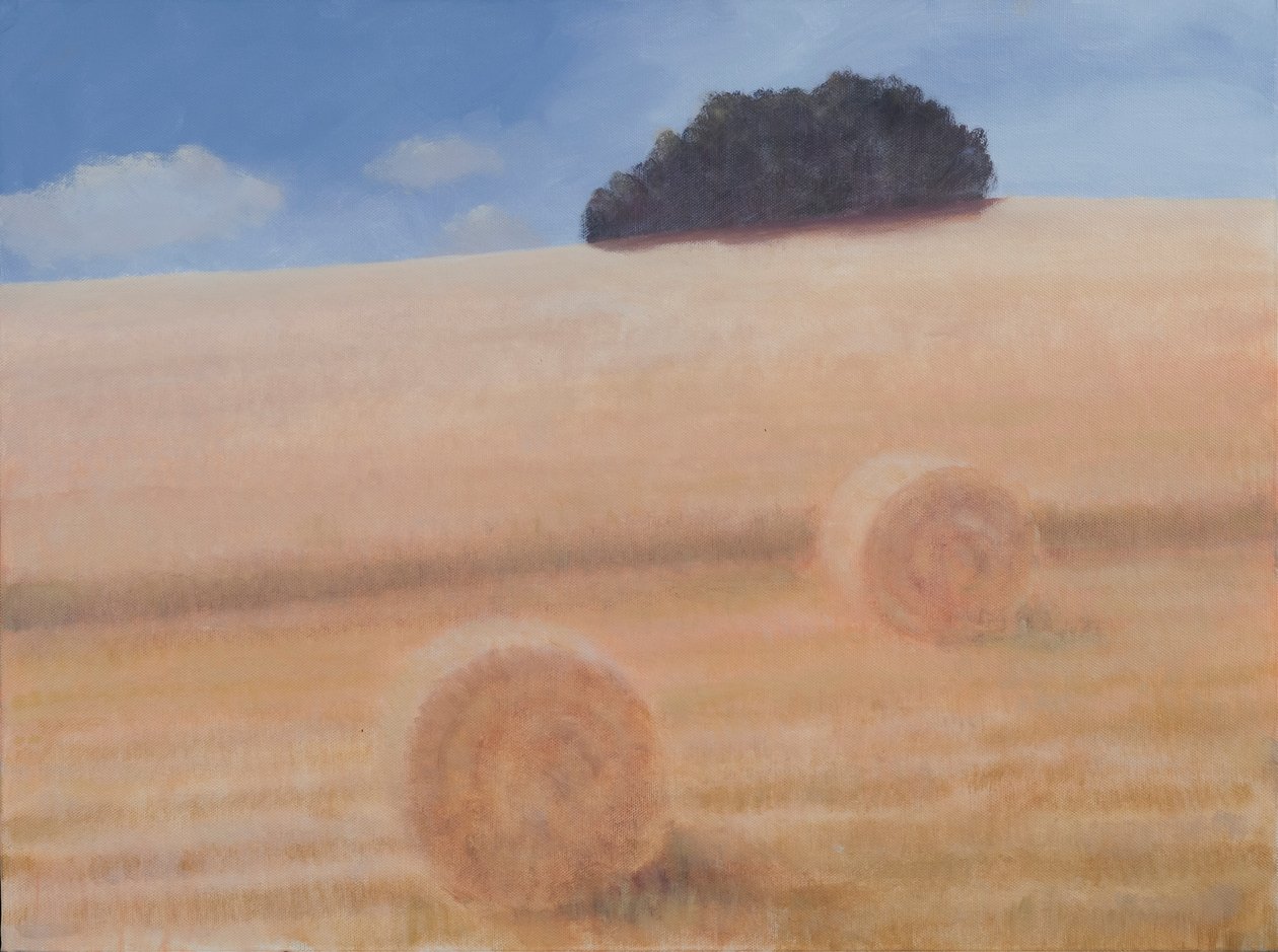Two Hay Bales, 2012 (akryl på lerret) av Lincoln Seligman