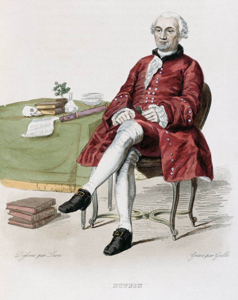 Monsieur de Buffon (1707-88) illustrasjon fra 