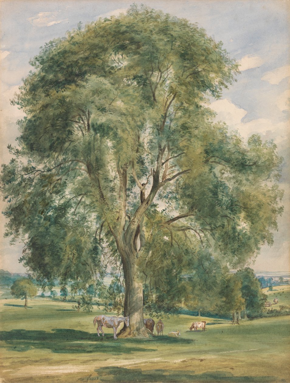 Et stort tre i et sommerlandskap, en hest som står ved basen av Lionel Constable