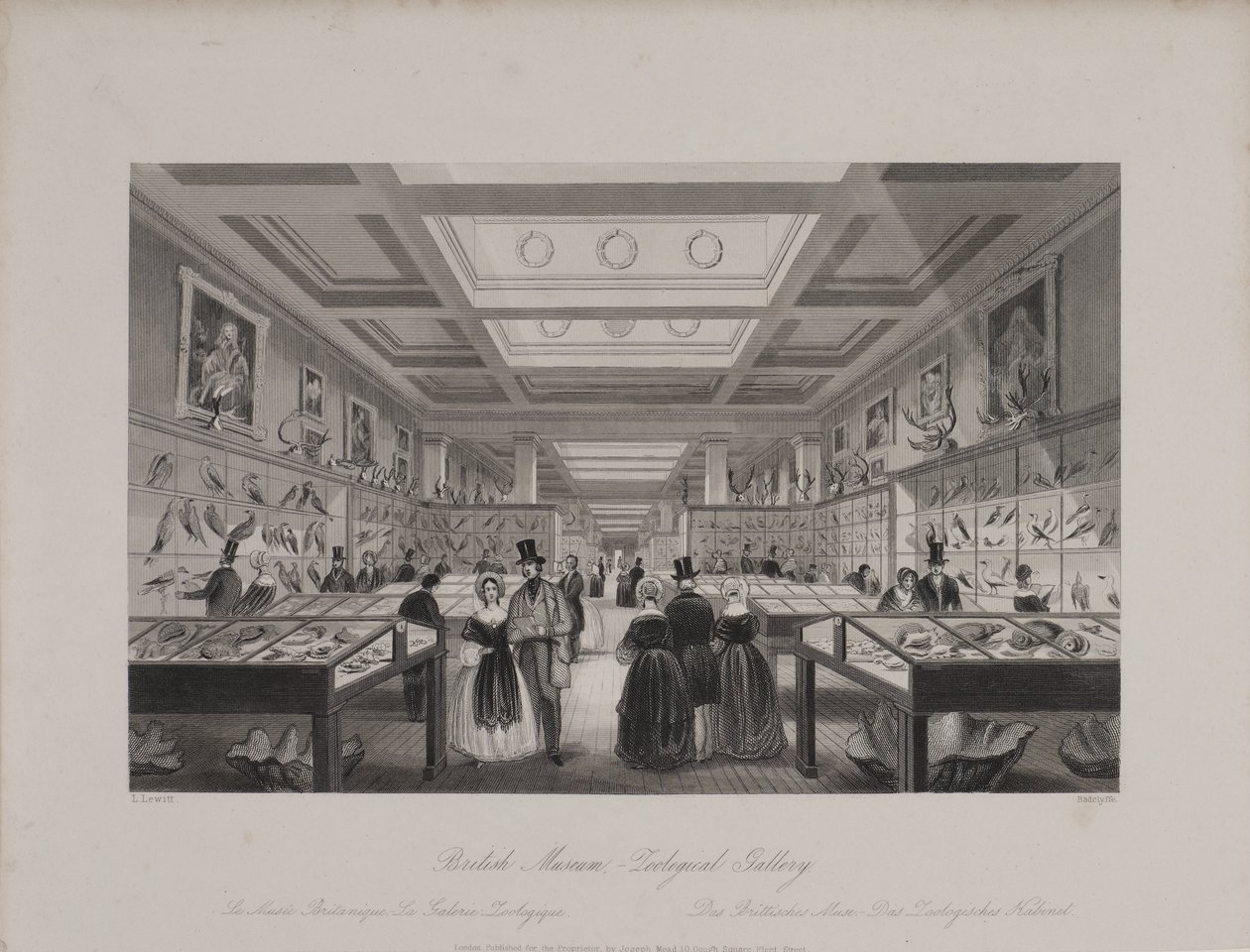 Utsikt over Zoological Gallery, British Museum som viser besøkende som ser på utstillinger, ca. 1850 (gravering) av Llewellyn (after) Jewitt