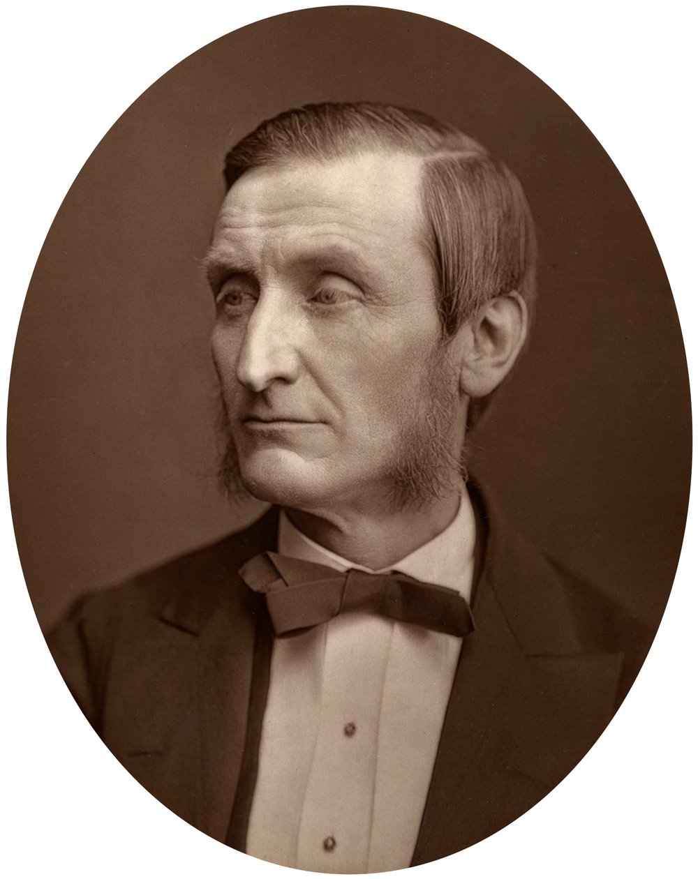 John Hall Gladstone, president for Chemical Society, 1880. av Lock and Whitfield