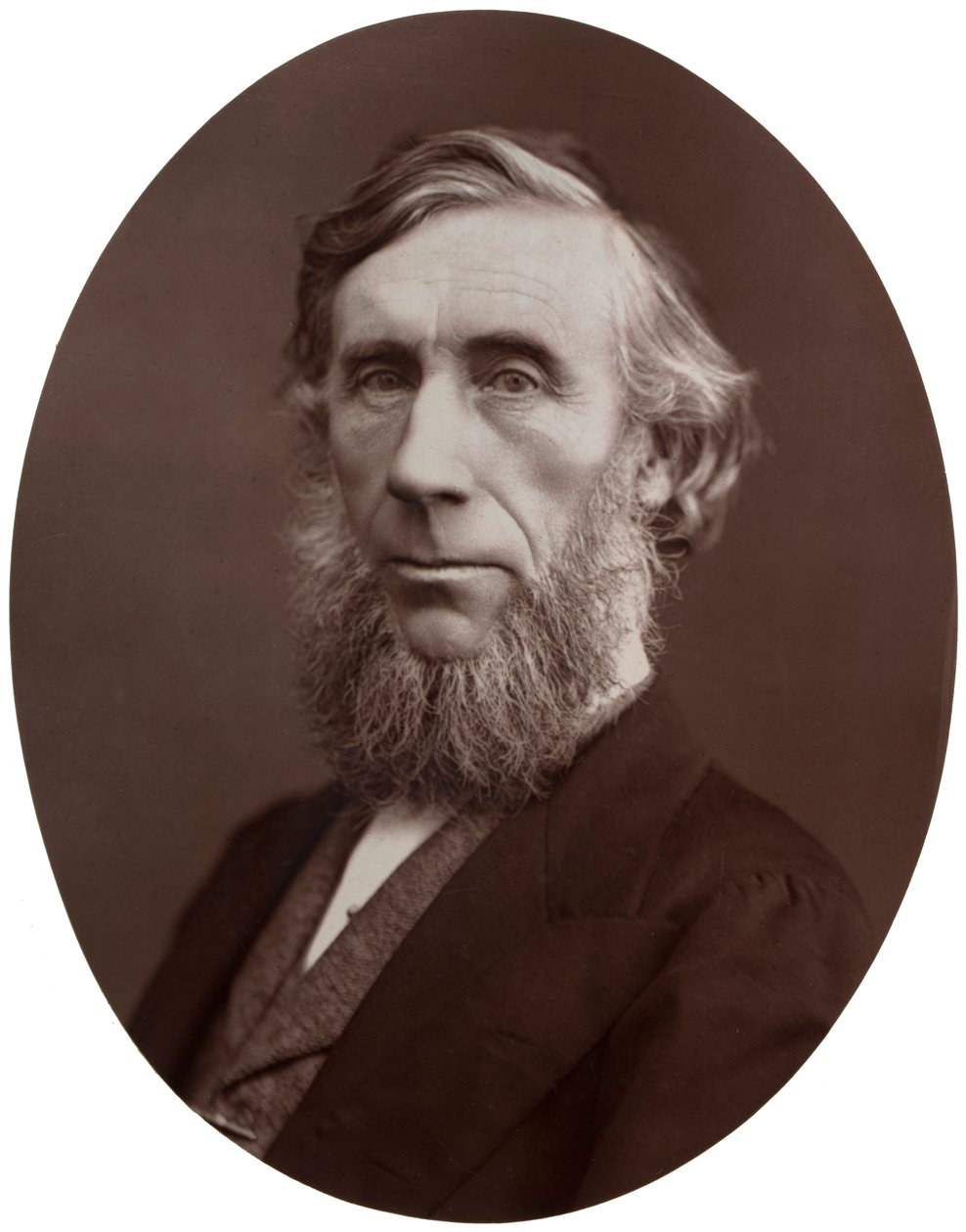John Tyndall, DCL, LLD, FRS, professor i naturfilosofi ved Royal Institution, 1877. av Lock and Whitfield