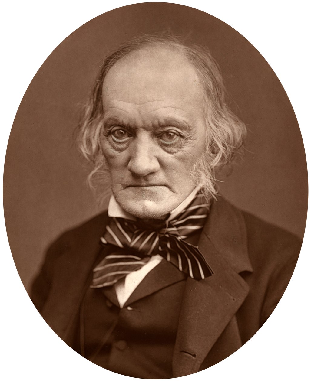 Richard Owen, 1878. av Lock and Whitfield