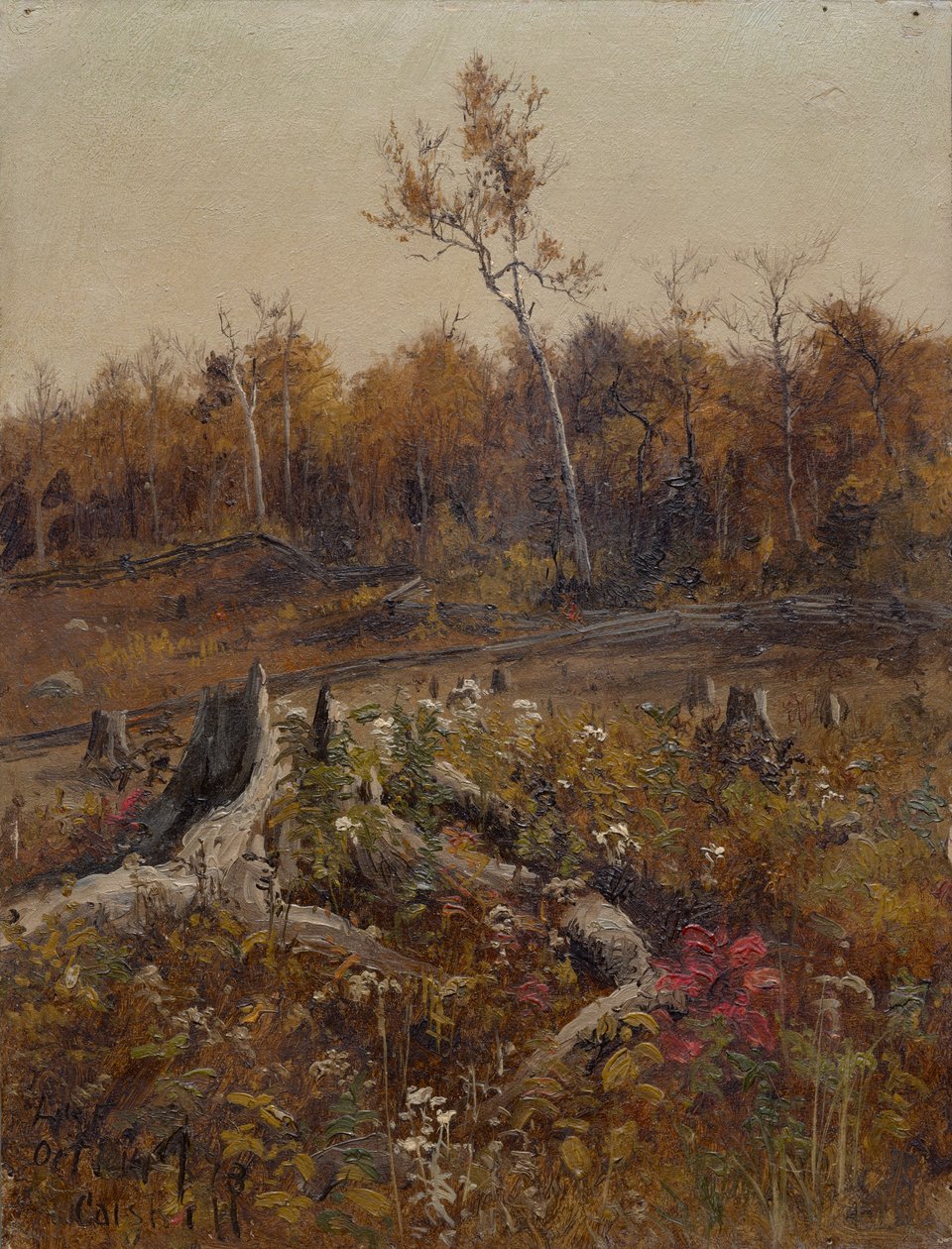 Landskap av Lockwood de Forest