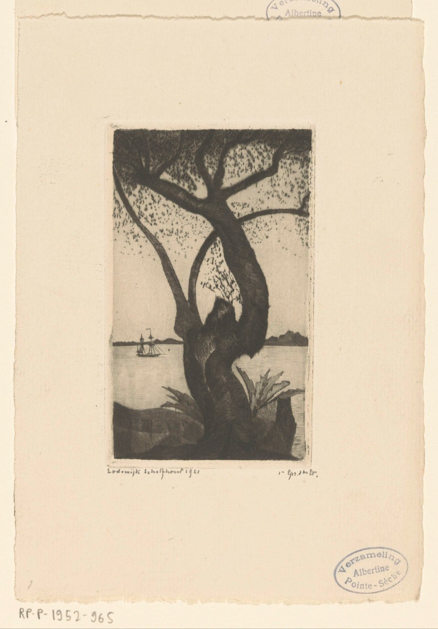 Oliventre på Korsika Olivier, Corse (original tittel) av Lodewijk Schelfhout (signed by artist)