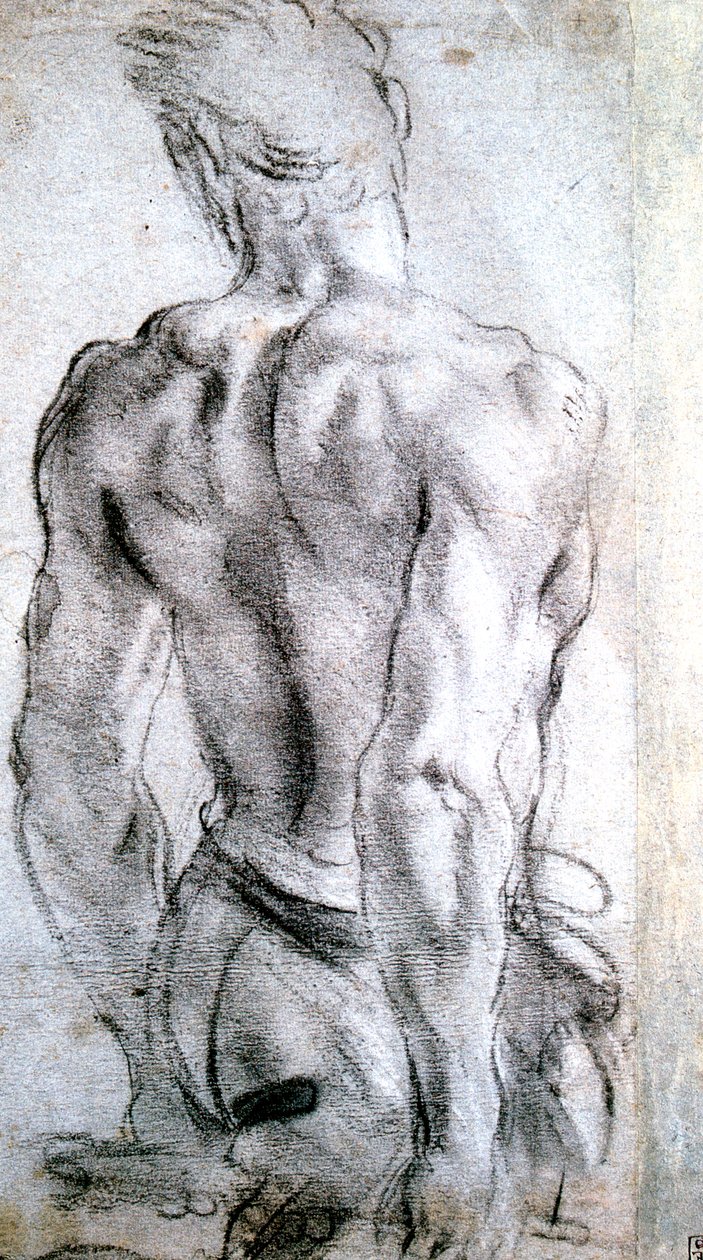 Studie av en figur, c1560-1609 av Lodovico Carracci