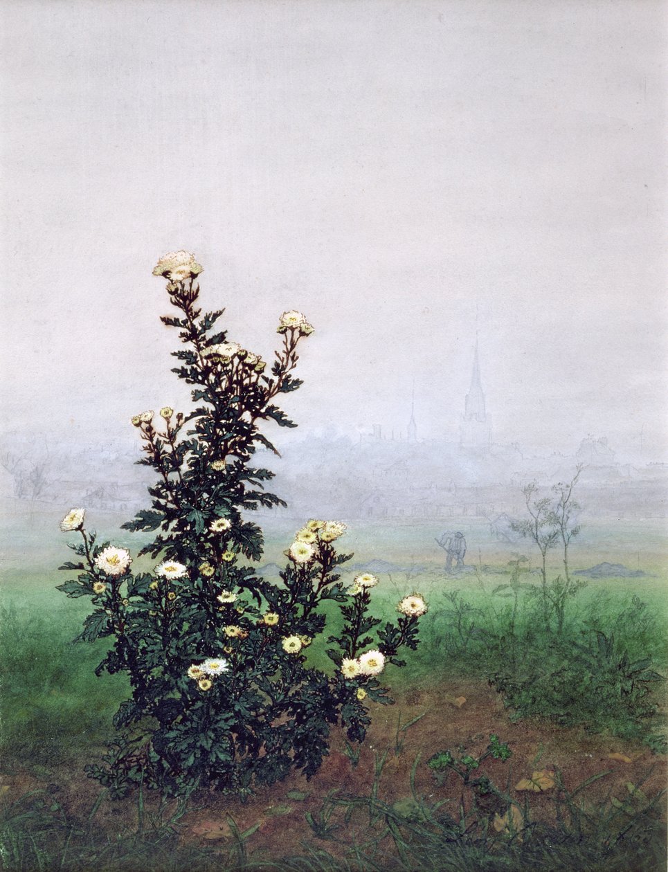 Blomstrende krysantemum med arbeider, 1863 (wc, gouache, penn og blekk og blyant på papir) av Léon Bonvin