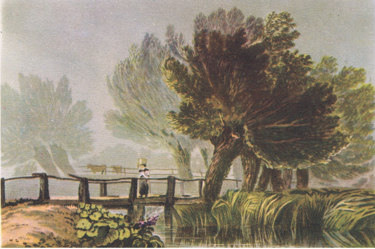 Llandrindod: Ash trees in spring, Nature in Britain utgitt av Collins, 1946 av Lonsdale Ragg