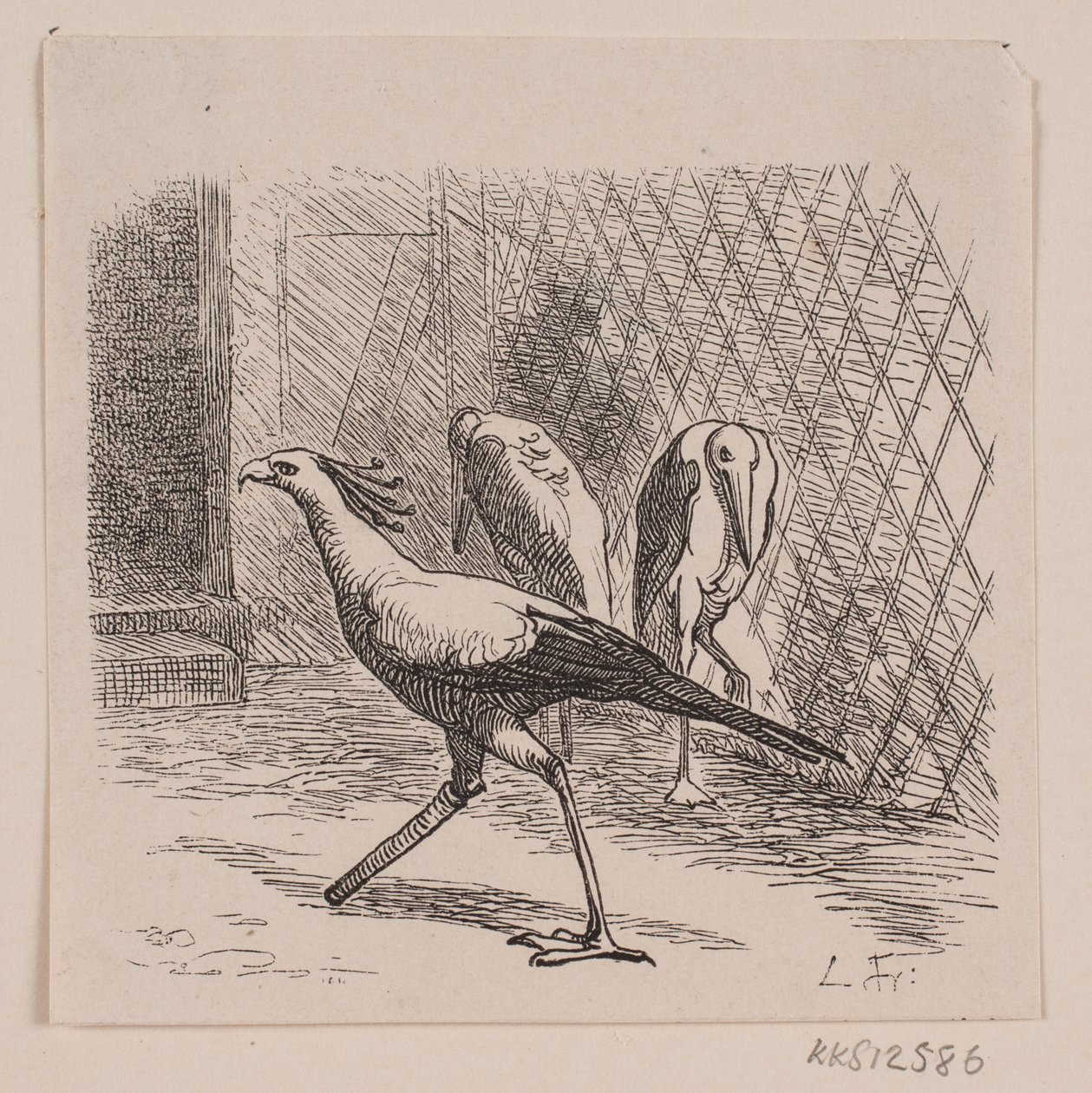 Sekretær for Jardin des Plantes av Lorenz Frølich