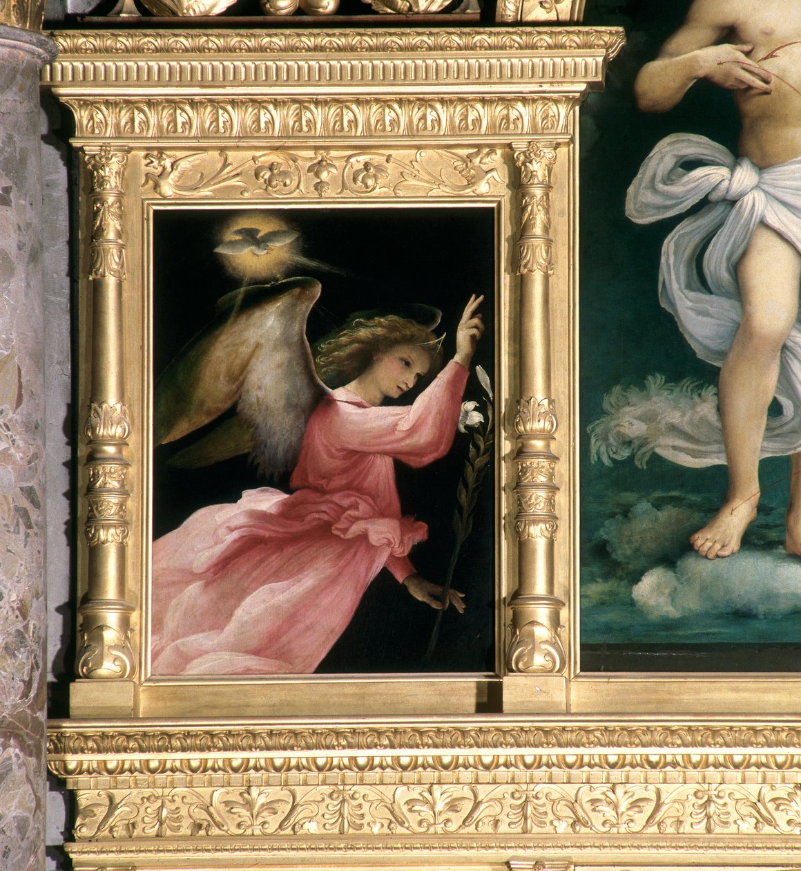 Annunciation Angel, detalj fra Polyptych of San Giovanni Battista, ca. 1525 av Lorenzo Lotto