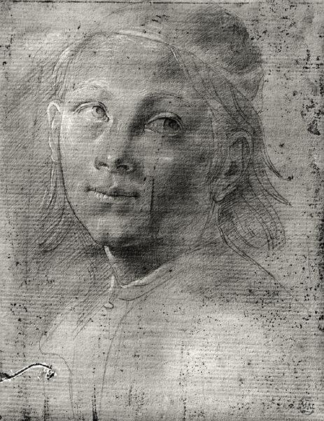 Leder for en ung mann av Lorenzo di Credi