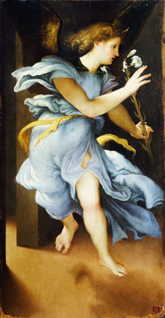 Annonsering engel, ca 1525, av Lorenzo Lotto (1480 ca- 1556), olje på panel, 82x42 cm av Lorenzo Lotto
