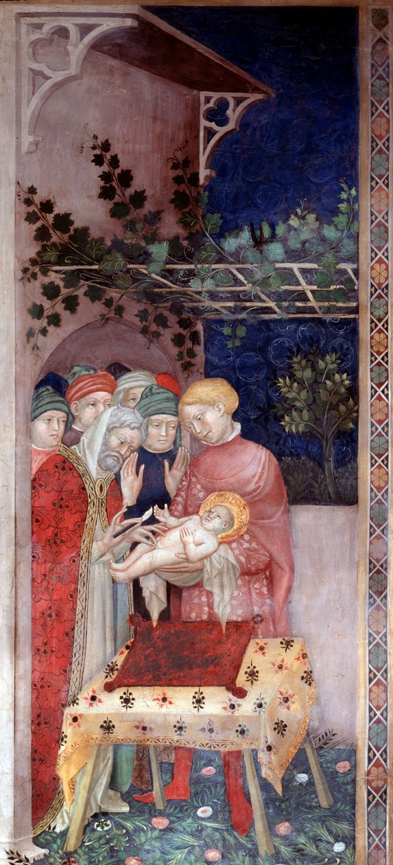 Omskjæring av døperen Johannes (fresco av Lorenzo Salimbeni