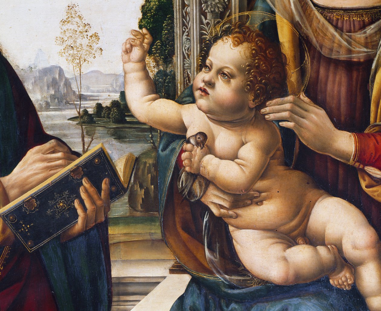 Baby Jesus, detalj fra Madonna and Child with Saints av Lorenzo di Credi