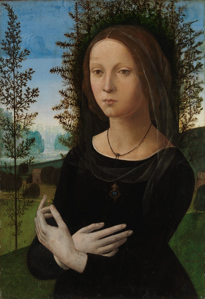 Portrait of a Young Woman, ca. 1475-80 (olje på tre) av Lorenzo di Credi
