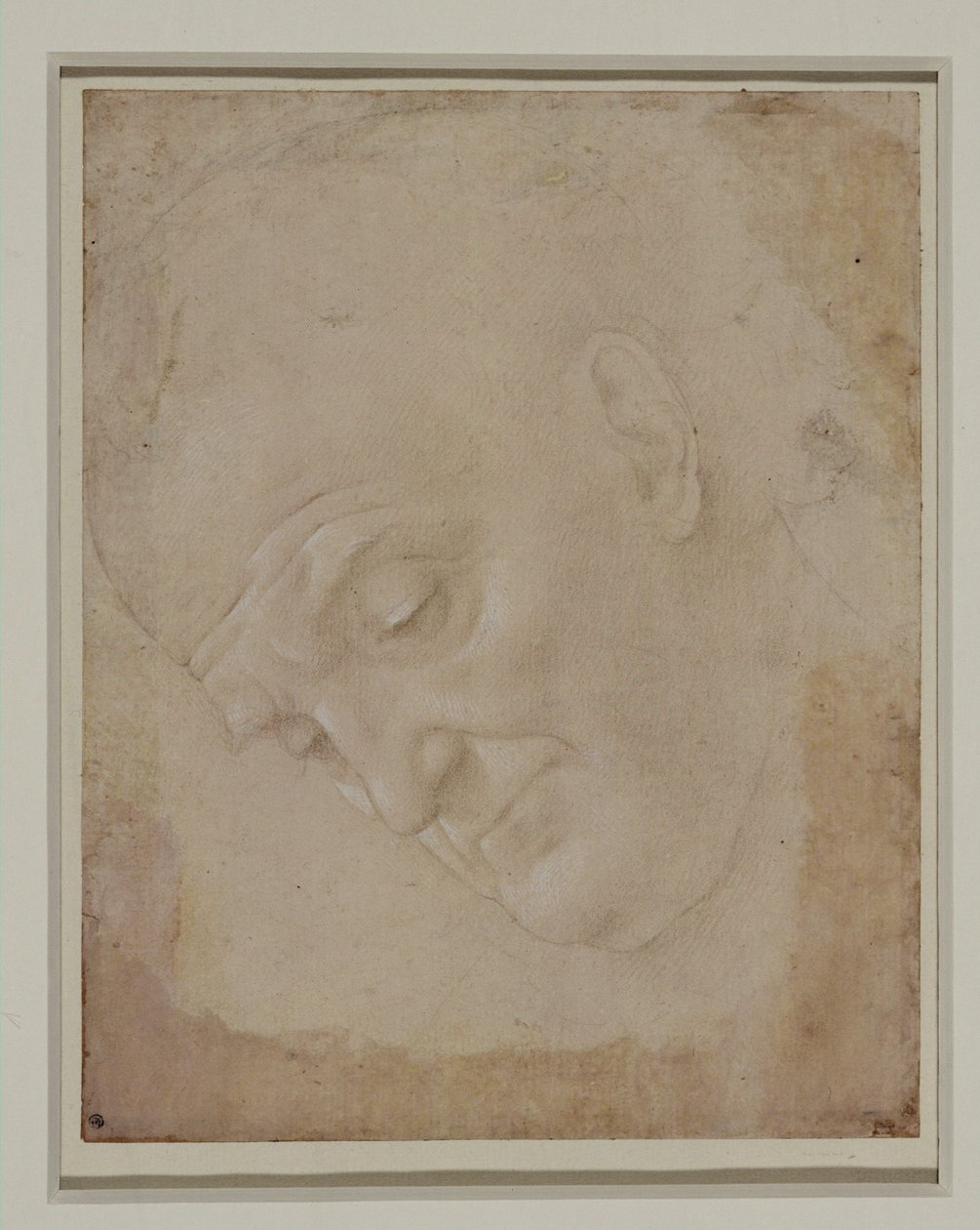 av Lorenzo di Credi