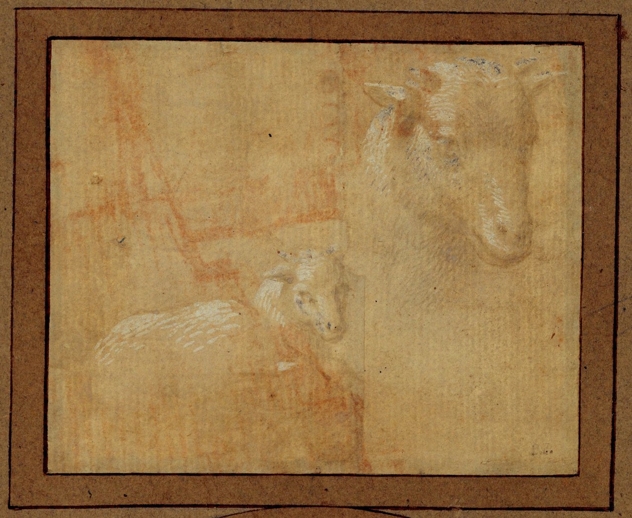 Studie av et lam. Sølvspiss, gråvasket på lyserosa papir ... av Lorenzo di Credi