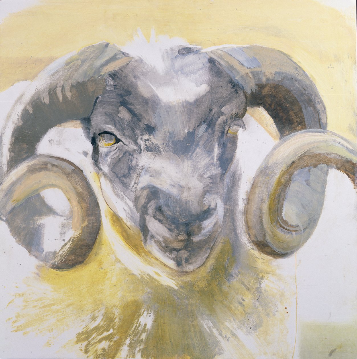 Long Horn Sheep (blandet media på gesso panel) av Lou Gibbs