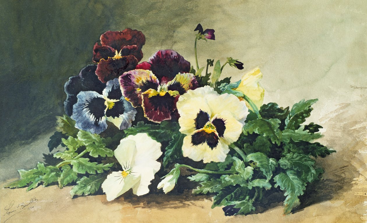 Vinter stemorsblomster, 1884 av Louis Charles Bombled