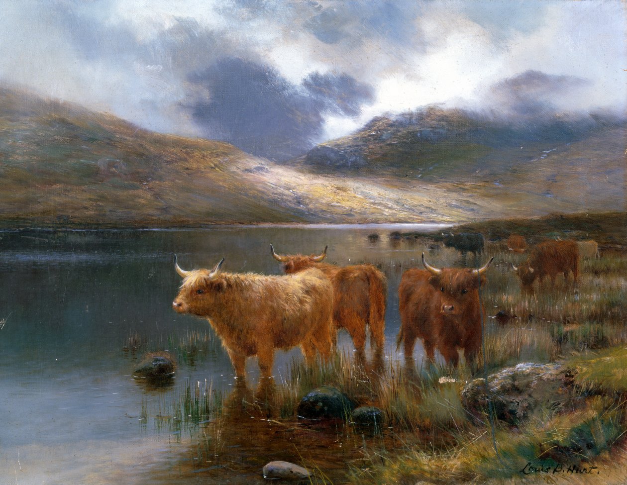 Highland Cattle ved en innsjø av Louis Bosworth Hurt