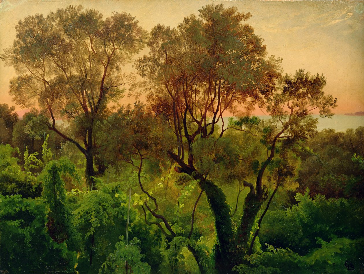 Skråning med oliventrær (olje på papir på panel) av Louis Gurlitt