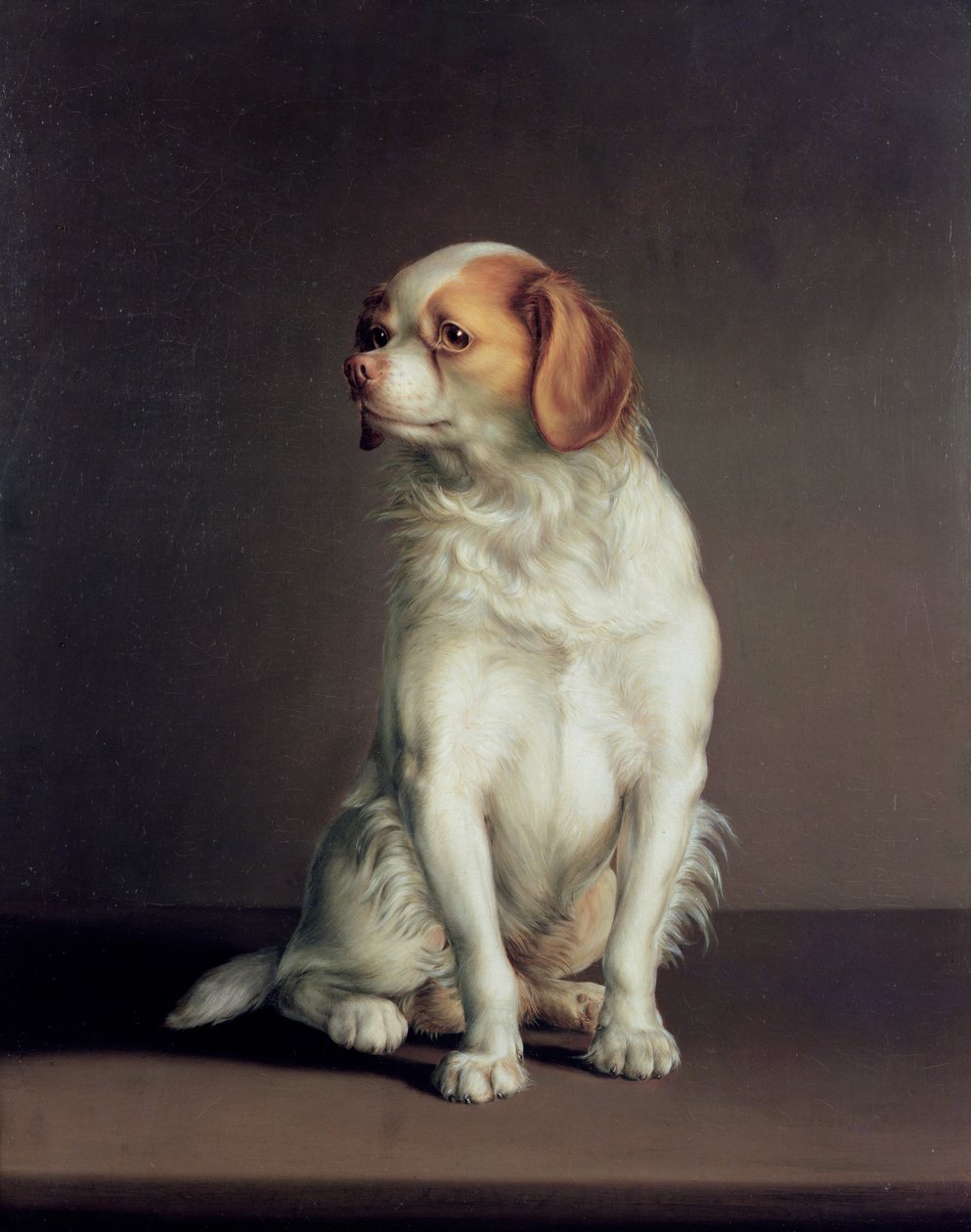 Portrett av en King Charles Spaniel av Louis Leopold Boilly