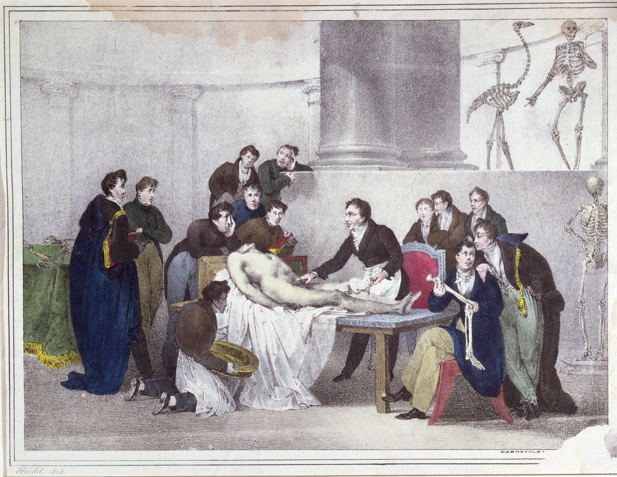 Anatomi leksjonen, 1826 av Louis Thomas Bardel