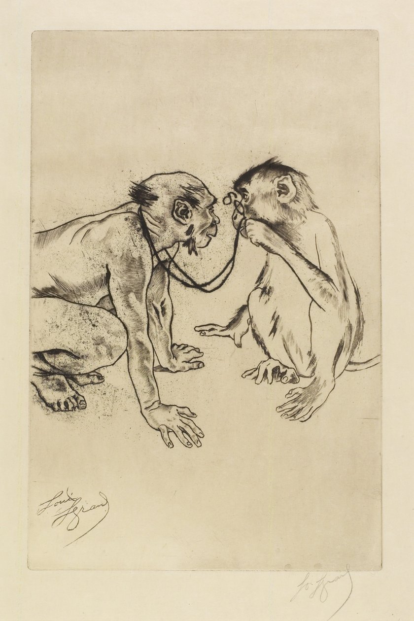 Sammenlignende anatomi av Louis Auguste Mathieu Legrand