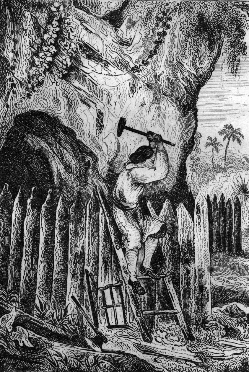Jeg plantet ti rader med palisader. gravering etter M. de Sainsons tegning til boken til Daniel Defoe (De foe) “Robinson Crusoe”” fransk utgave av 1837. av Louis Auguste de Sainson