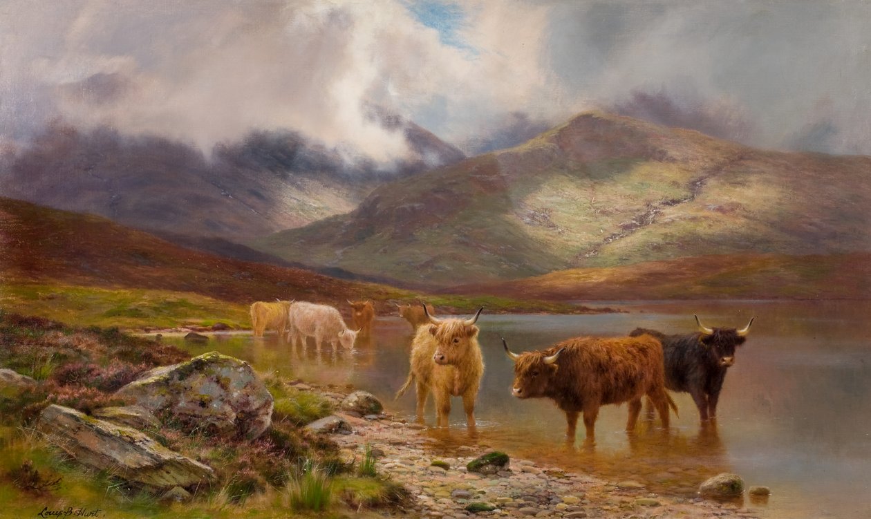 Highland Cattle (olje på lerret) av Louis Bosworth Hurt