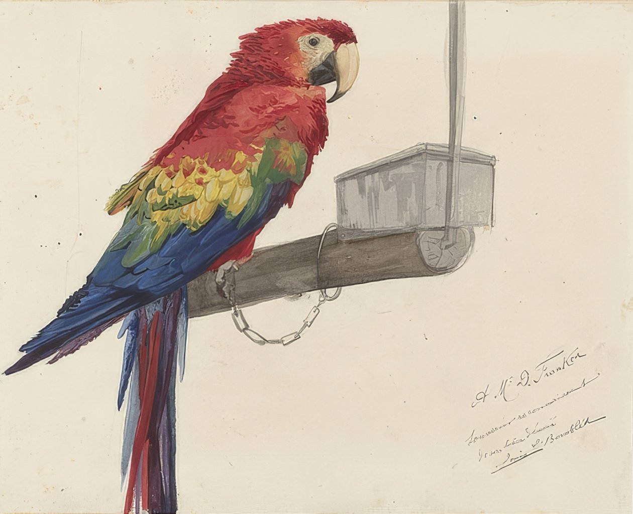 Papegøye. 1879 av Louis Charles Bombled