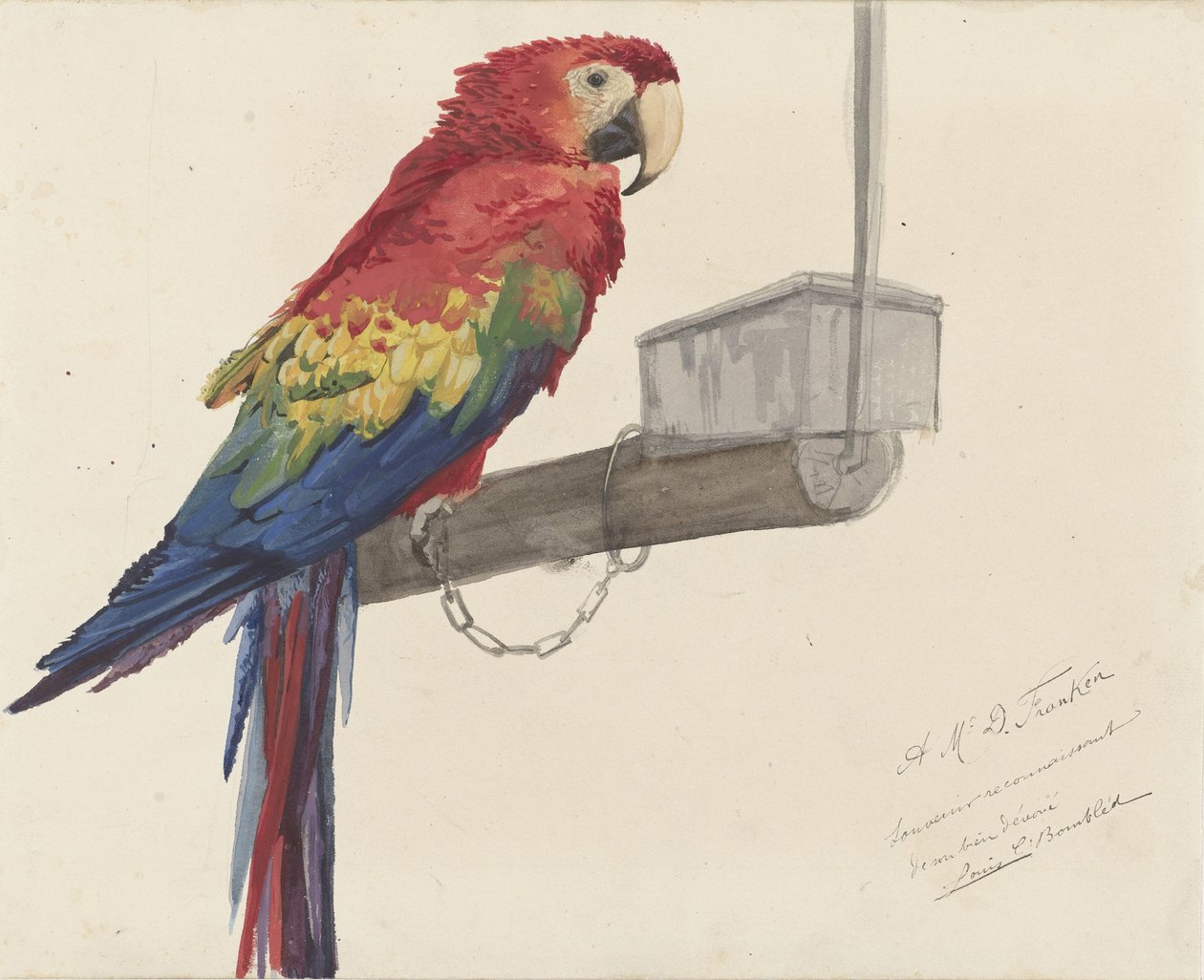 Papegøye av Louis Charles Bombled