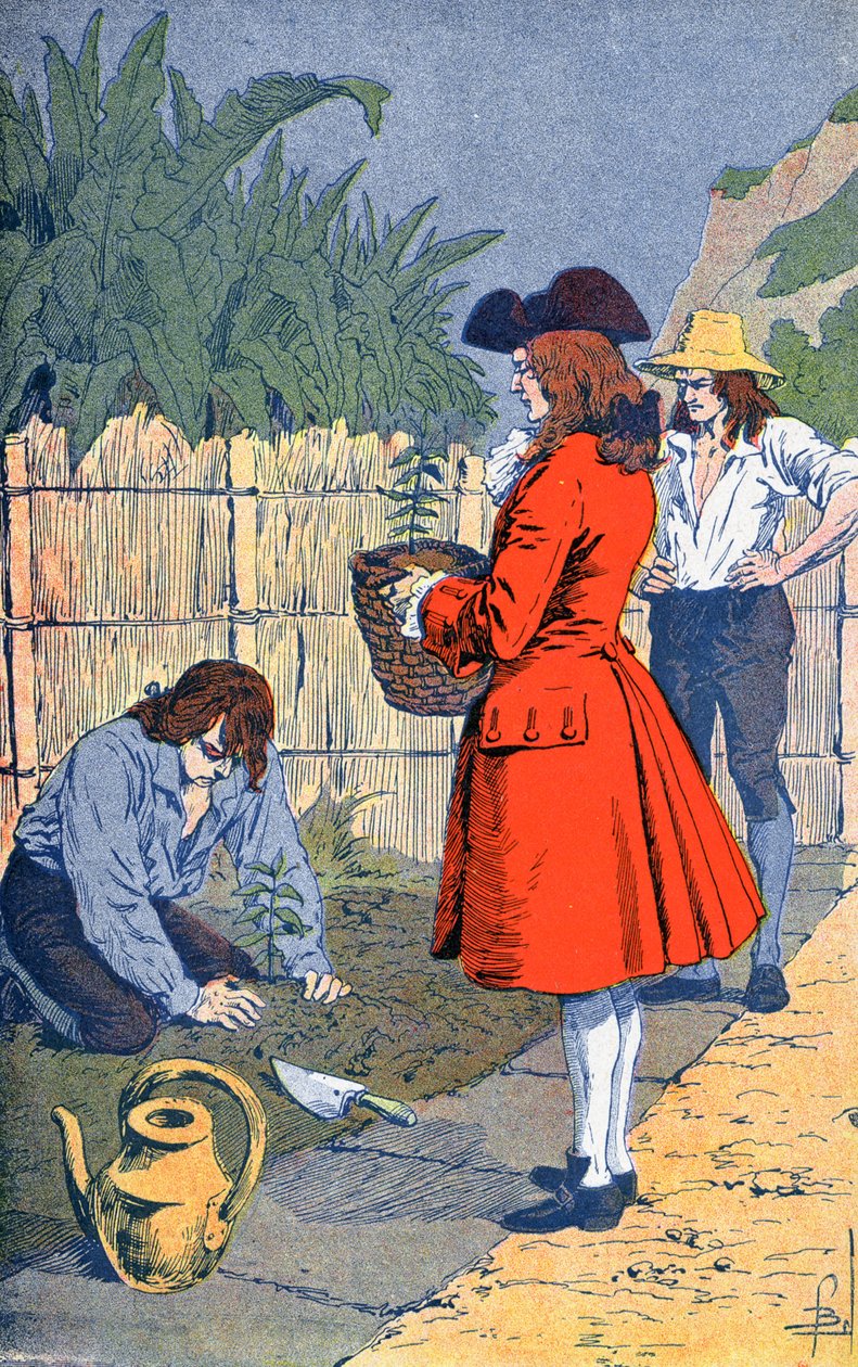 Ridderen av Clieux introduserer kafeen av Louis Charles Bombled