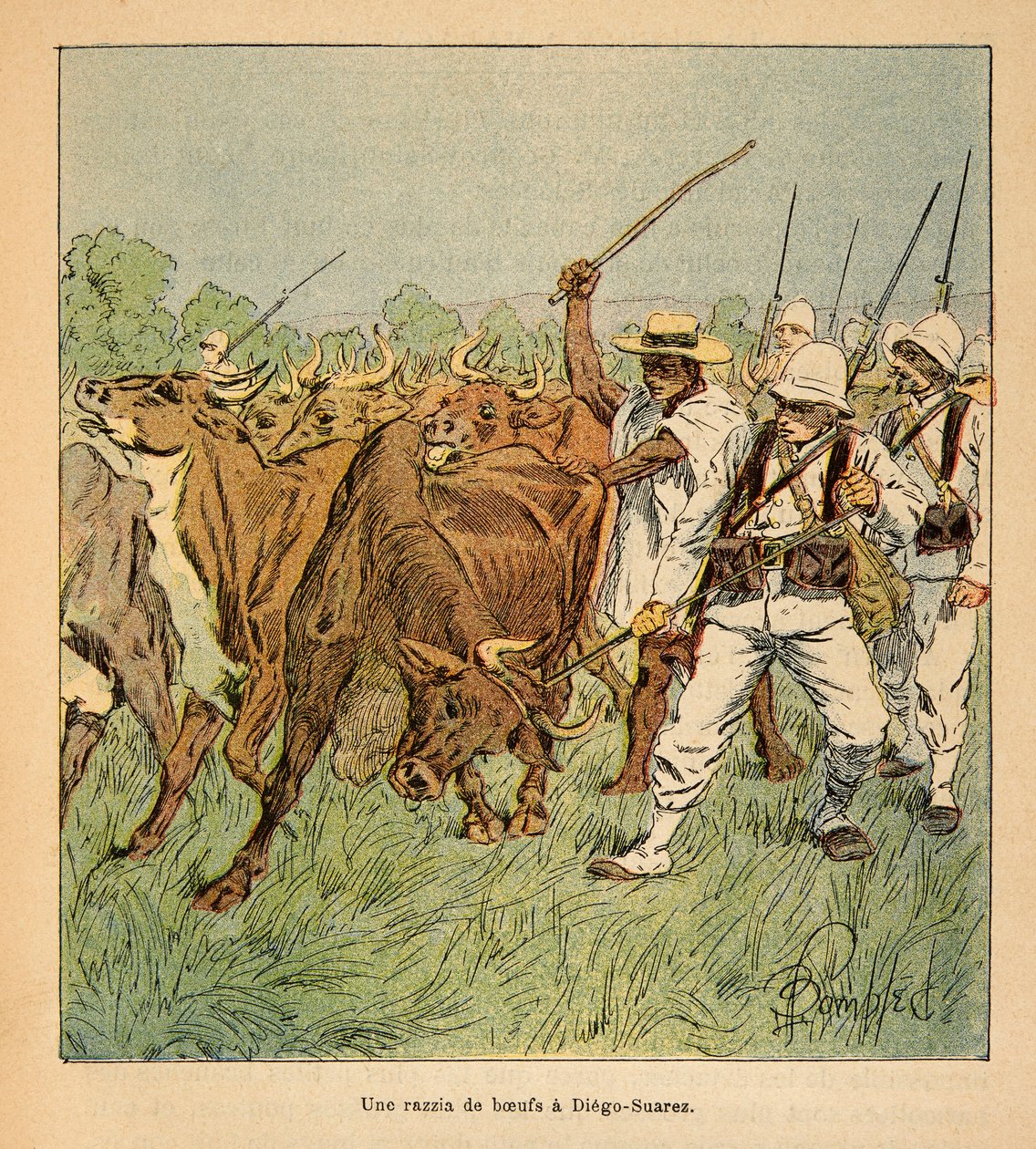 The War in Madagascar-Anecdotal History of the French Expeditions of 1885-1895 av Henri Galli dit Galllichet (1854-1922), illustrert av Louis Bombled (1862-1927): I Diego-Suarez krever den franske hæren okser, Privat samling av Louis Charles Bombled