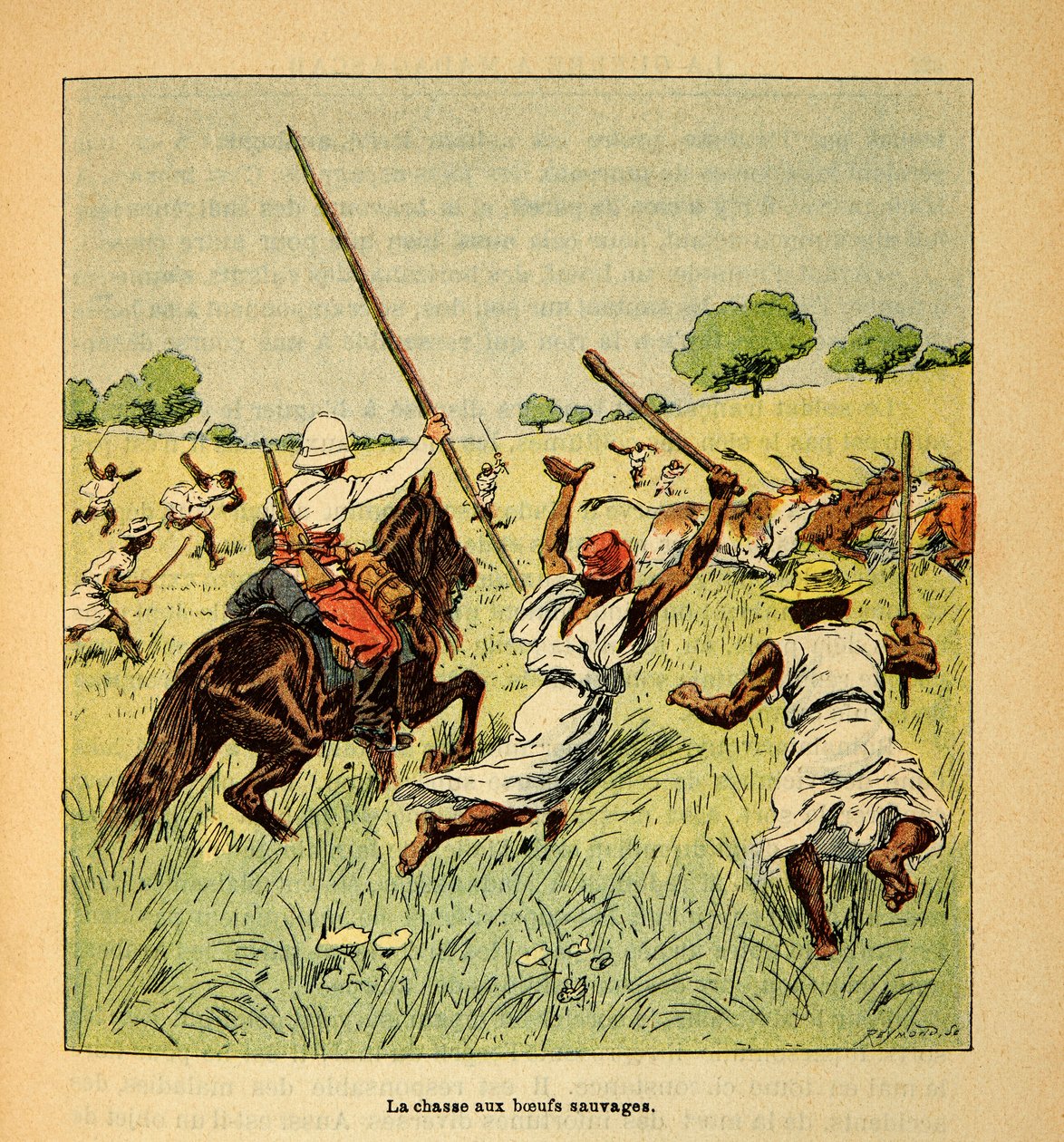 The War in Madagascar-Anecdotal History of the French Expeditions of 1885-1895 av Henri Galli dit Galllichet (1854-1922), illustrert av Louis Bombled (1862-1927): Jakten på ville okser i Madagaskar i 1895, privat samling av Louis Charles Bombled