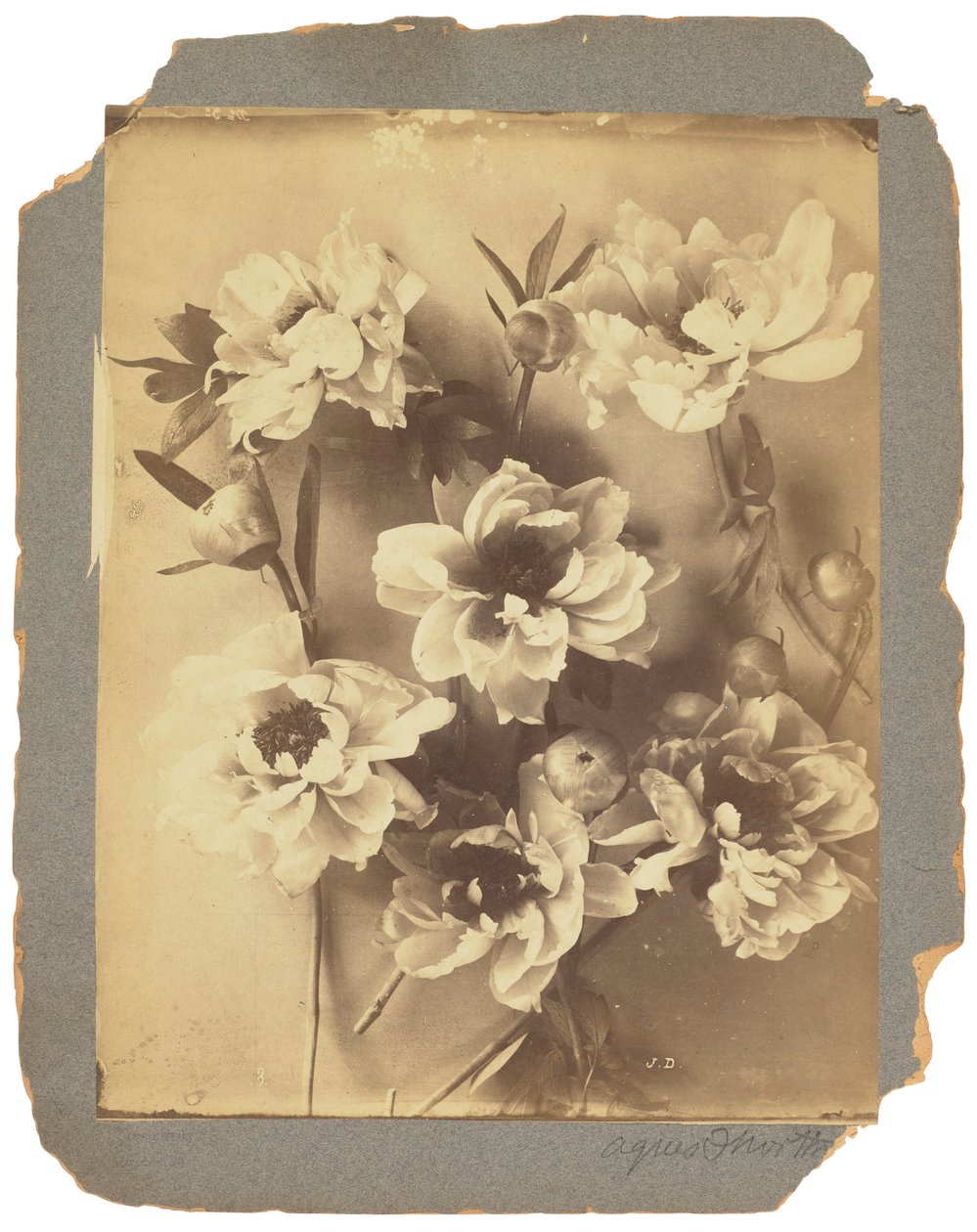Tiffany Studios, ca. 1898-1920 (fotografi s/h) av Louis Comfort Tiffany