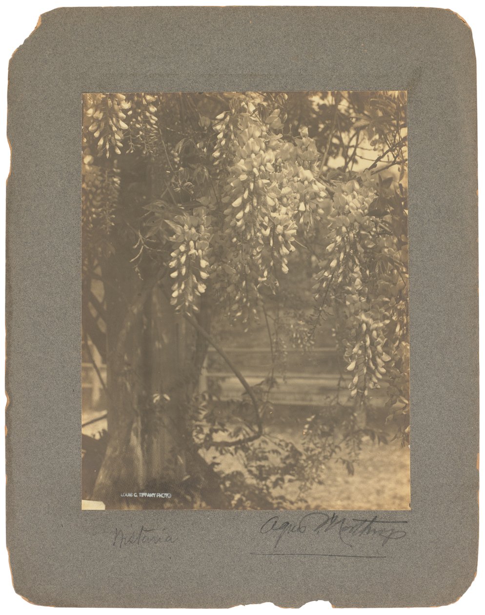 Tiffany Studios, ca. 1898-1920 (fotografi s/h) av Louis Comfort Tiffany