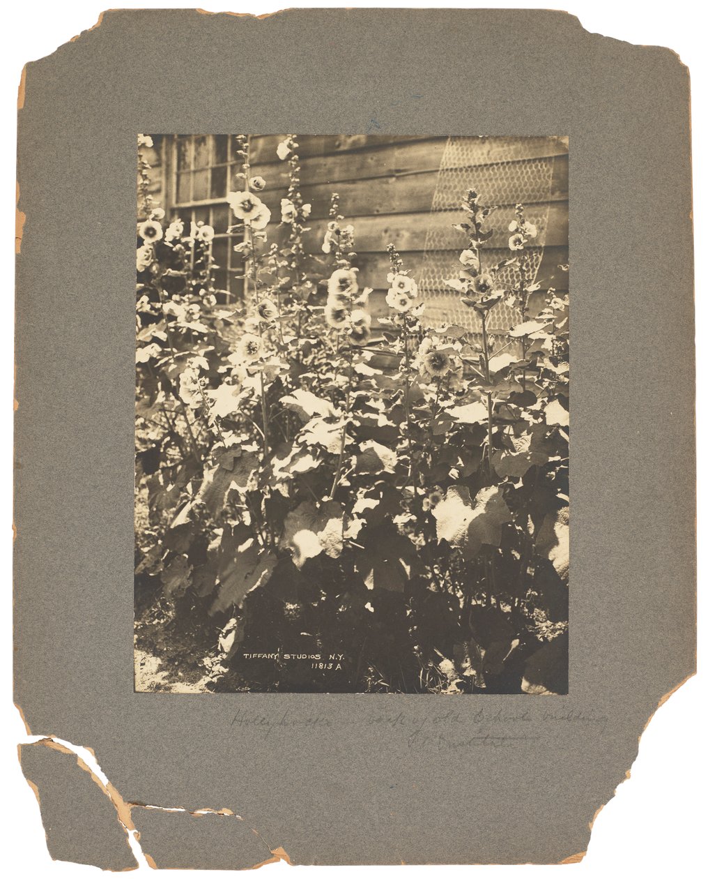 Tiffany Studios, ca. 1898-1920 (fotografi s/h) av Louis Comfort Tiffany