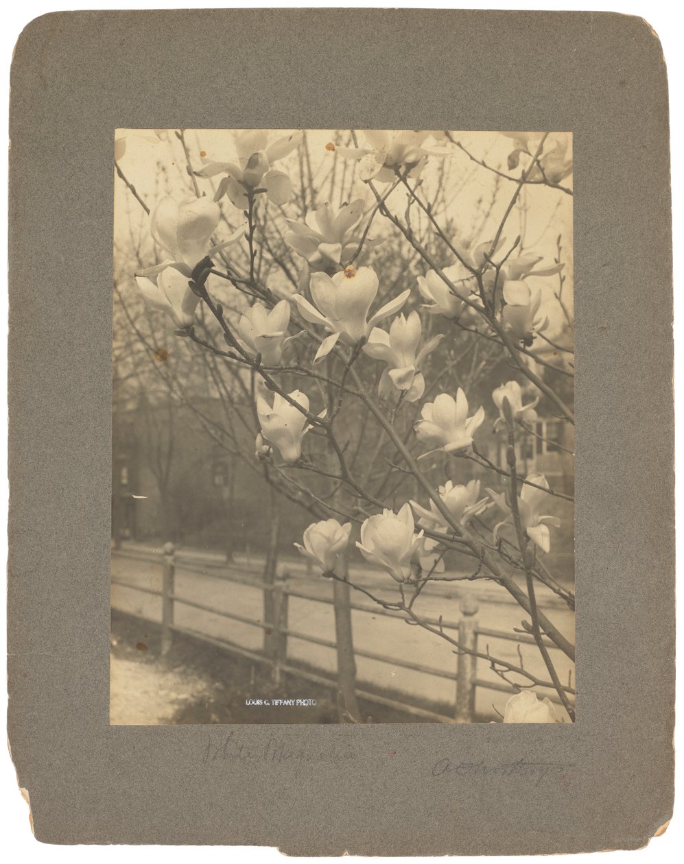 Tiffany Studios, ca. 1898-1920 (fotografi s/h) av Louis Comfort Tiffany