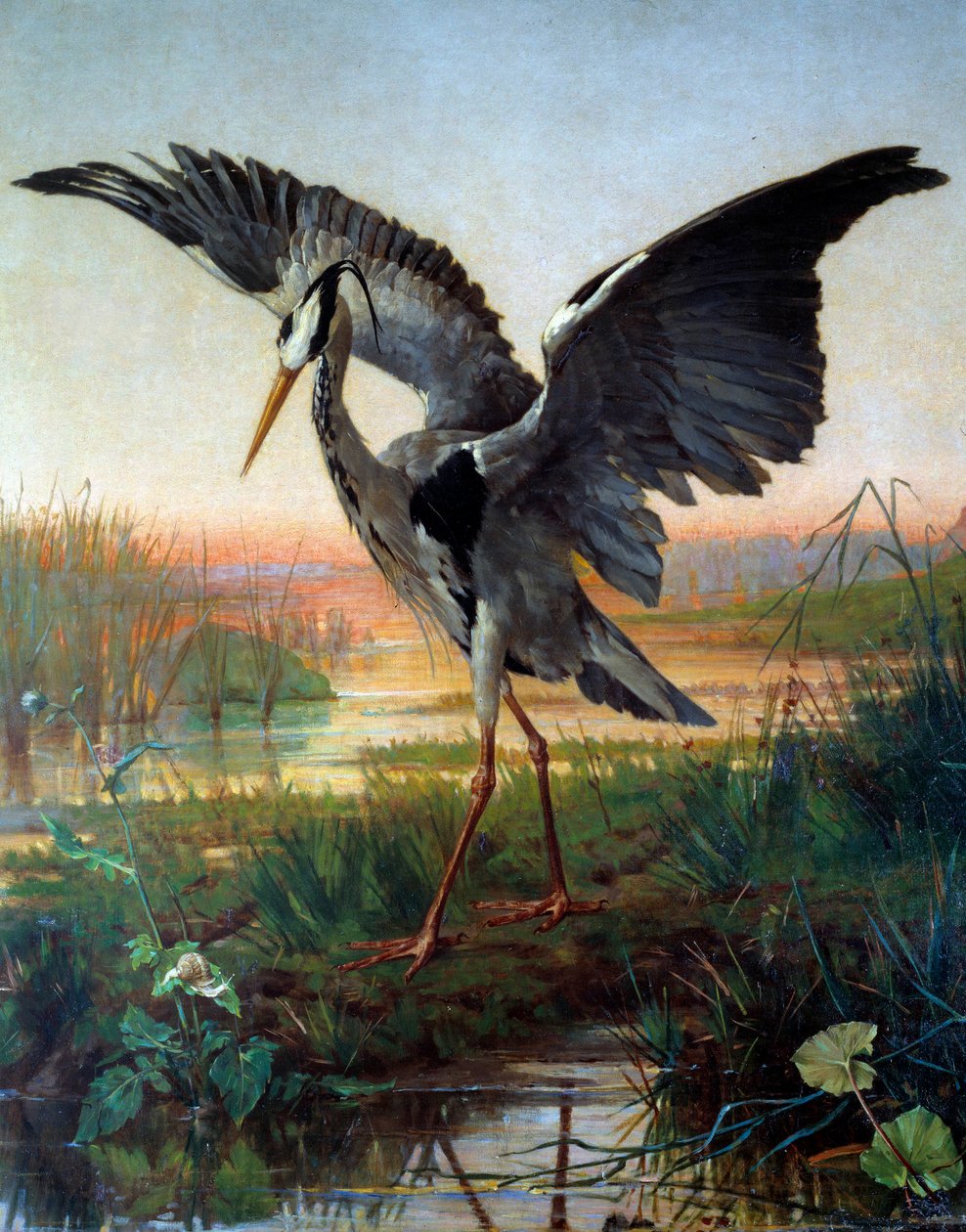Hegre. Illustrasjon til fabelen "" Hegre og snegl"" av Jean de La Fontaine av Louis Emile Villa