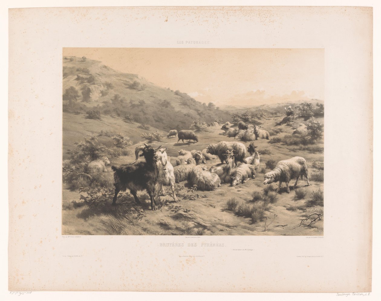 Gjeterinne med geiter og sauer i Pyreneene Bruyeres des Pyrenees (tittel på objekt) Beiter (serietittel) Les paturages (serietittel på objekt) av Louis Emmanuel Soulange Teissier