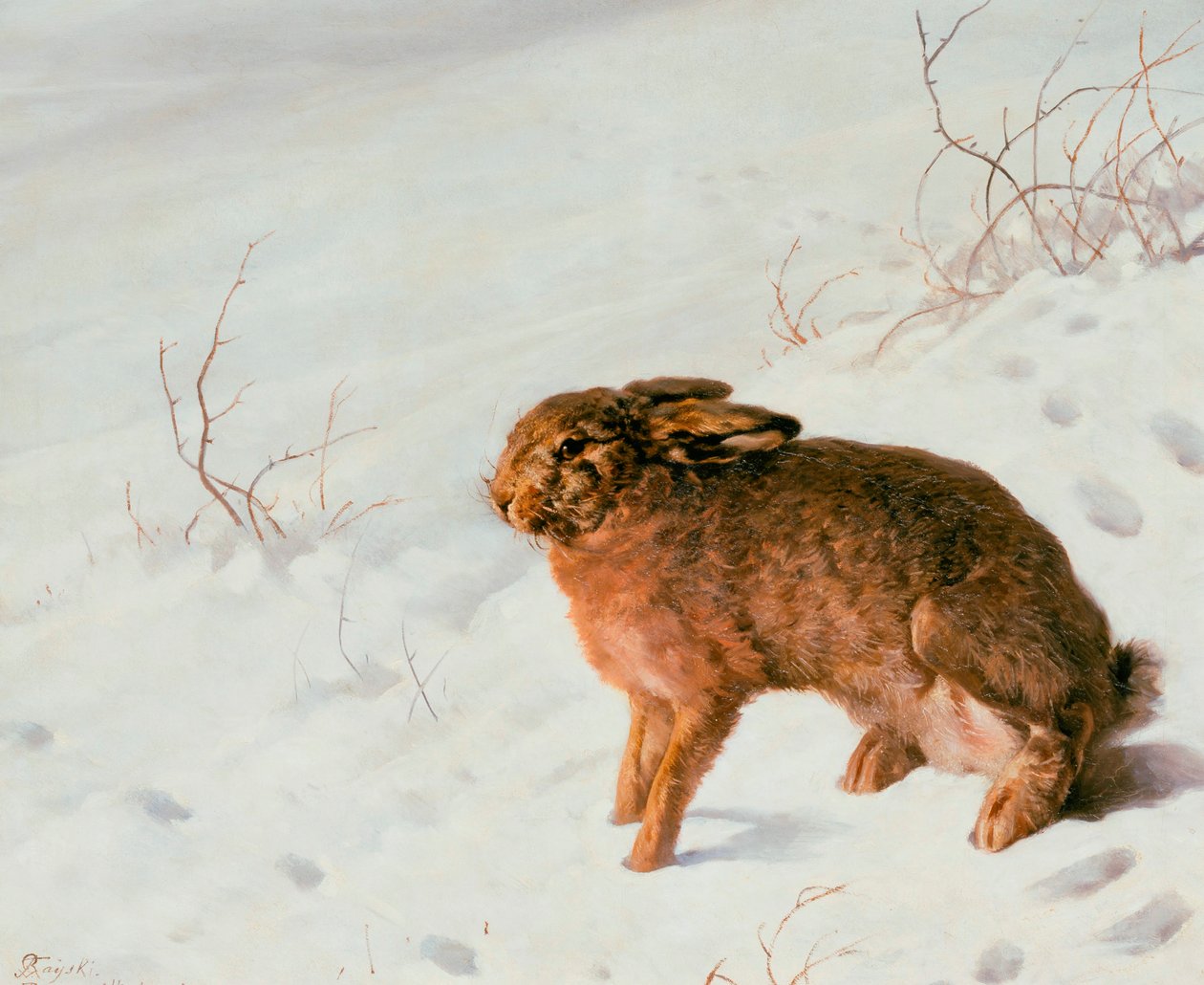 Hare i snøen, 1875 av Louis Ferdinand von Rayski