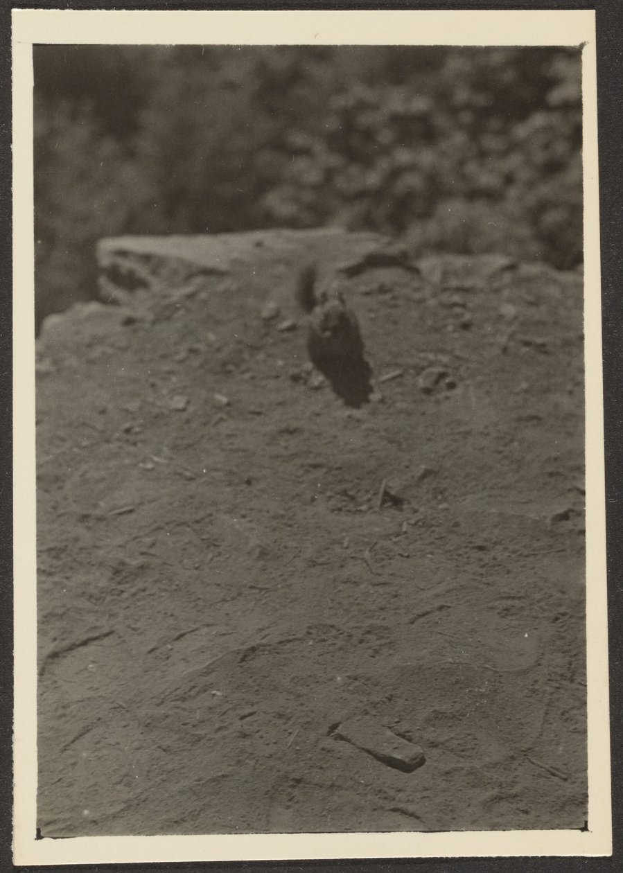  av Louis Fleckenstein