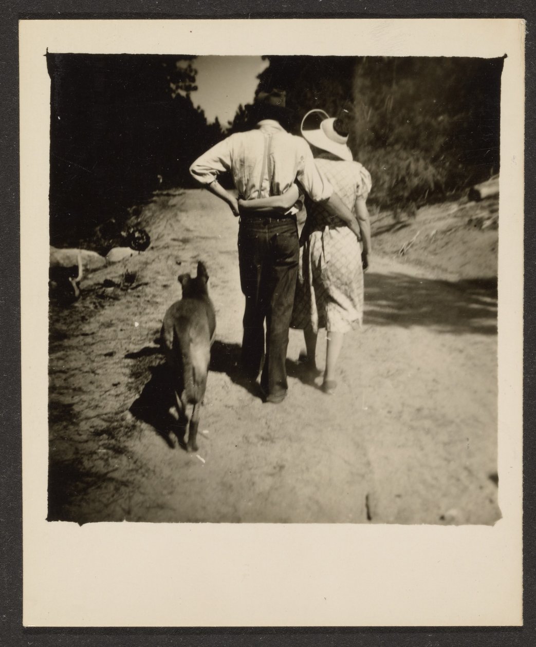 Par på tur med hund av Louis Fleckenstein